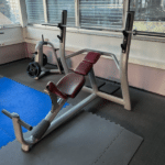 TECHNOGYM SELECTION BENCH PRESS - POŠEVNA KLOP ZA POTISK PRSI (rabljeno)